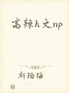 高辣h文np