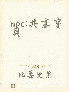 npc:共享宝贝
