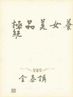 极品美女养成系统