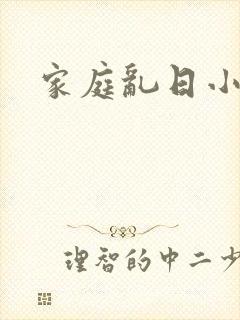 家庭乱日小说