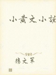 小黄文小说