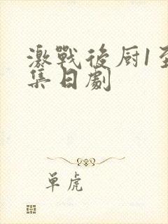 激战后厨1至5集日剧