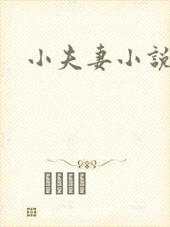 小夫妻小说