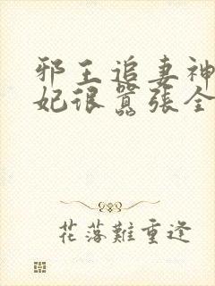 邪王追妻神医狂妃很嚣张全文免费