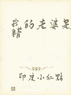 我的老婆是狐狸精