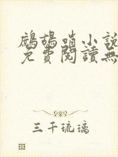 鹧鸪哨小说网站免费阅读无弹窗