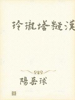 玲珑塔糙汉租客