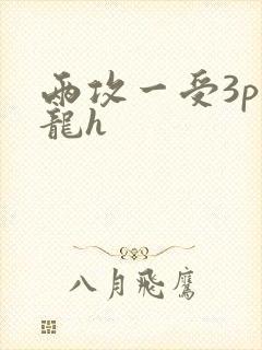 两攻一受3p双龙h