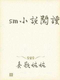 sm小说阅读