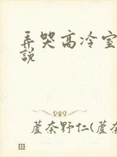 弄哭高冷室友小说