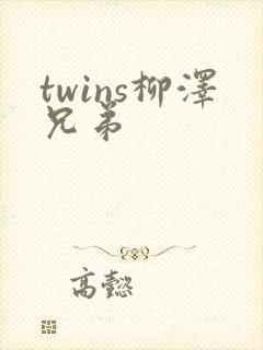 twins柳泽兄弟
