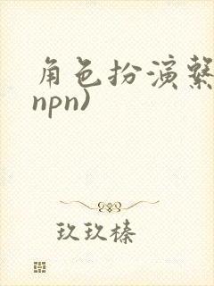 角色扮演系统(npn)