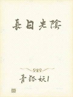 长日光阴