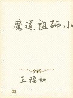 魔道祖师小说