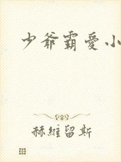 少爷霸爱小丫头