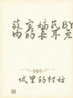 苏家嫡氏BY吃肉的长耳兔