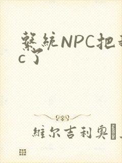 系统NPC把我c了
