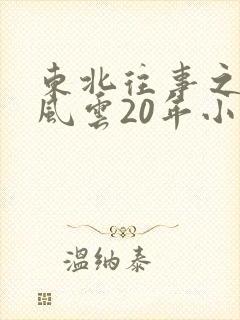 东北往事之黑道风云20年小说