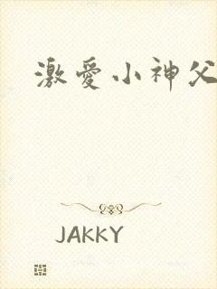 激爱小神父