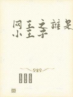 网王之谁是我的小王子