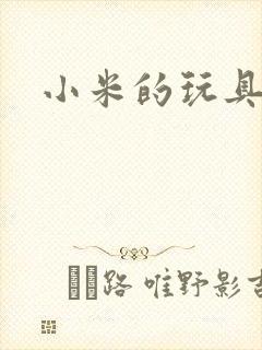 小米的玩具日记