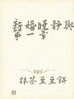 新婚晓静与翁公笫一章