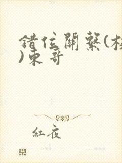 错位关系(校园)东哥