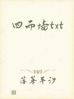 四面墙txt