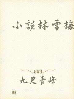 小说林雪梅