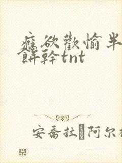 瘾欲欢愉半块小饼干tnt