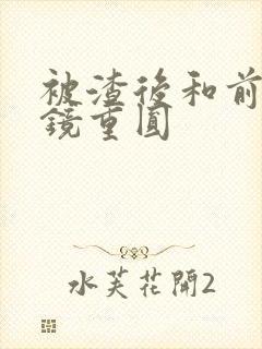 被渣后和前夫破镜重圆