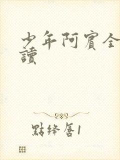少年阿宾全集阅读