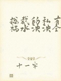 总裁的私有宝贝祸水泱泱全文阅读