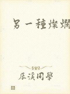 另一种灿烂生活