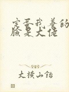 完蛋我养的小白脸是大佬