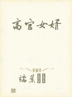 高官女婿