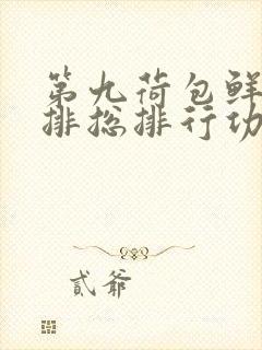 第九荷包鲜辣肉排总排行功能介绍