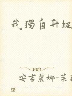 我独自升级小说