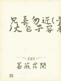 兄长勿近(骨科)大包子容华