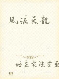 风流天龙
