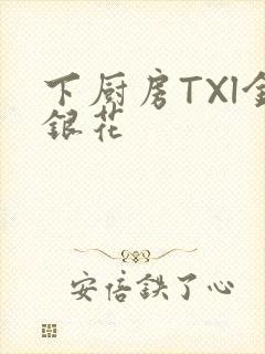 下厨房TXl金银花