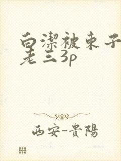 白洁被东子老二老三3p