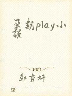 孕期play小说