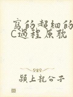 写的超细的多肉C过程原耽