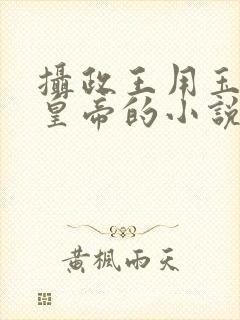 摄政王用玉髓整皇帝的小说