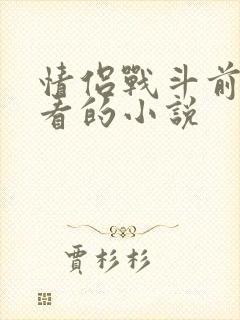 情侣战斗前适合看的小说