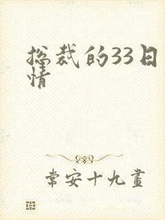 总裁的33日索情