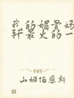 我的媚骨妈妈林轩最火的一句