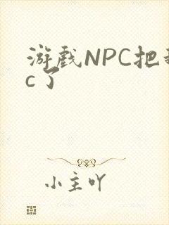游戏NPC把我c了