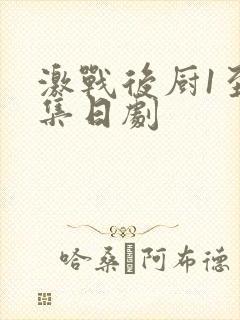 激战后厨1至5集日剧